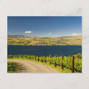 Cartão Postal EUA, Washington, Lago Chelan. Vinha