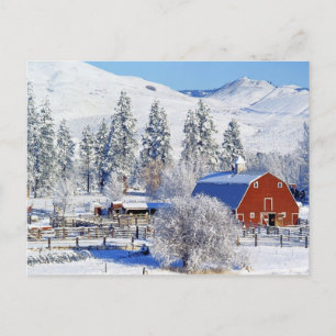 Cartão Postal EUA, Washington, Methow Valley, Celeiros em