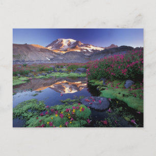Cartão Postal EUA, Washington, Mt. Rainier NP, nascer do sol,