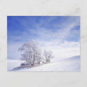 Cartão Postal EUA, Washington, Palouse Area, Fosco Black