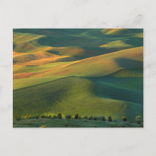 Cartão Postal EUA, Washington, Palouse, Condado de Whitman