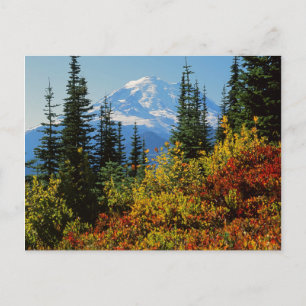 Cartão Postal EUA, Washington, Parque Nacional Mt. Rainier 2