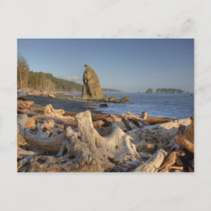 Cartão Postal EUA, Washington, Parque Nacional Olímpico, Rialto