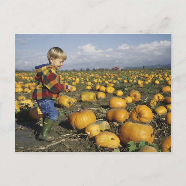 Cartão Postal EUA, Washington, Snohomish. Menino (Frente)