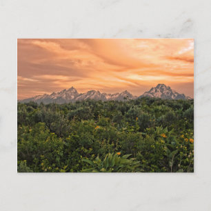 Cartão Postal EUA, Wyoming, Parque Nacional Grand Teton 1