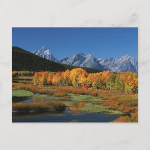 Cartão Postal EUA, Wyoming, Parque Nacional Grand Tetons em