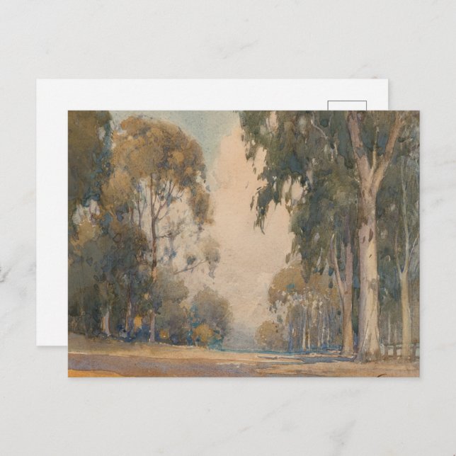 Cartão Postal Eucalipto (1922) - Delicado Aquarela Botânica (Frente/Verso)