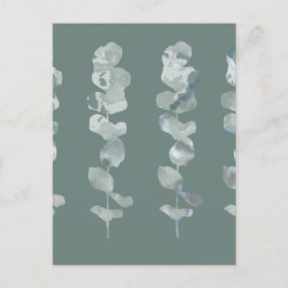 Cartão Postal Eucalyptus