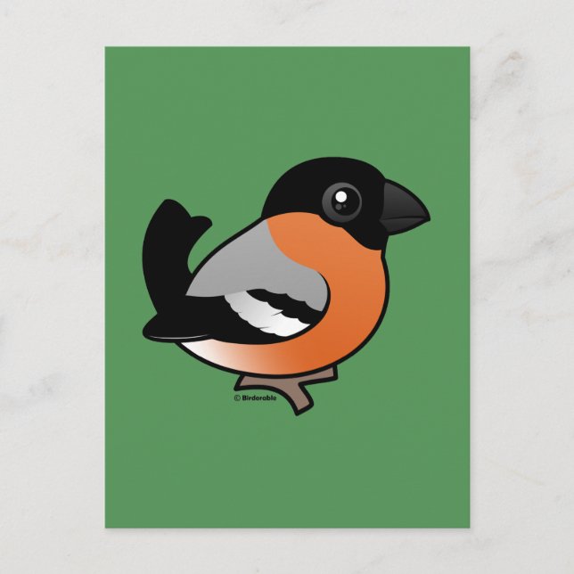 Cartão Postal Eurasian Bullfinch (Frente)