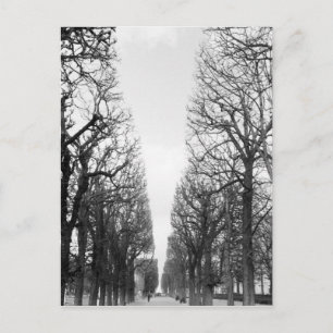 Cartão Postal Europa, França, Paris. Árvores de inverno, Marco P