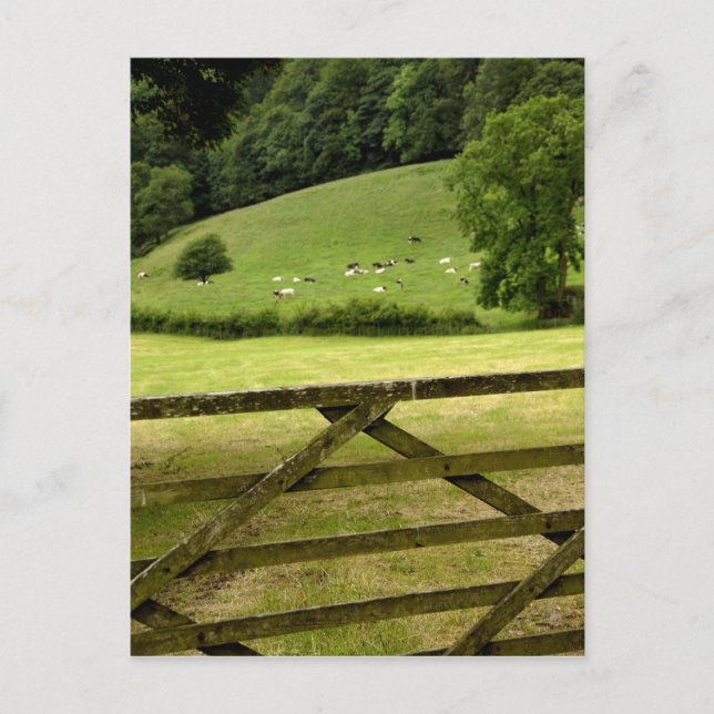 Cartão Postal Europa, Inglaterra, Distrito do Lago, Cumbria, (Frente)