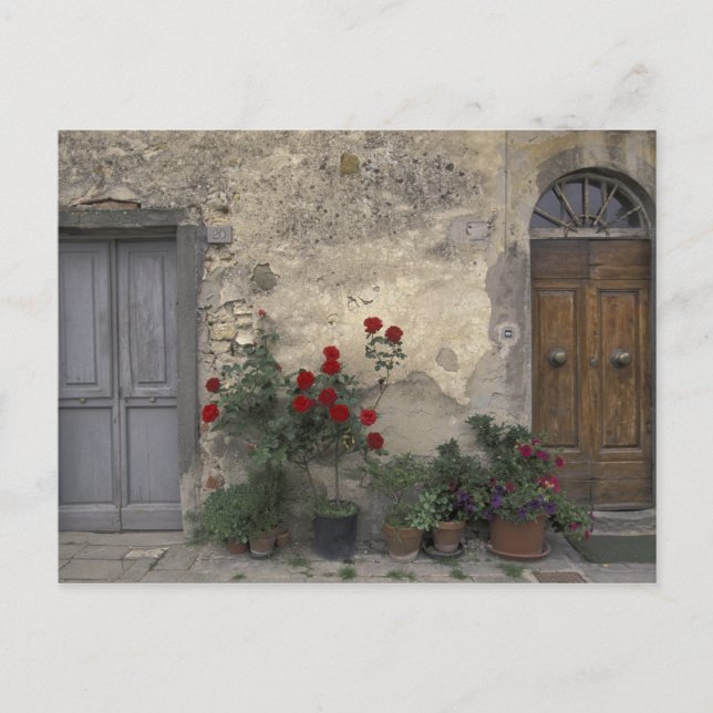 Cartão Postal Europa, Itália, Toscana, Chianti, entrada da Tosca (Frente)