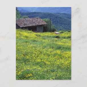 Cartão Postal Europa, Itália, Toscana, Siena, Chianti.