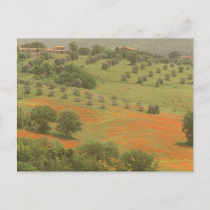 Cartão Postal Europa, Itália, Toscana, Val D'Orcia, Monte