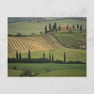 Cartão Postal Europa, Itália, Toscana, Val d'Orcia, Toscânia