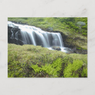 Cartão Postal Europa, Noruega. Cachoeira.