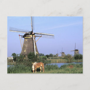 Cartão Postal Europa, Países Baixos, Zuid Holland, Kinderdijk.2