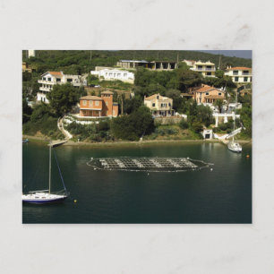 Cartão Postal Europe, Spain, Minorca (aka Menorca). Fish