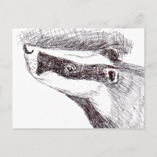 Cartão Postal European Badger (a455)