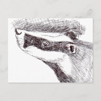Cartão Postal European Badger (a455)