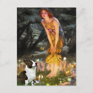 Cartão Postal Eva Midsummers - Cardigan Welsh Corgi