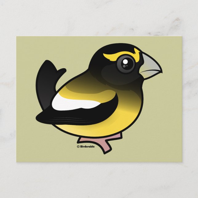 Cartão Postal Evening Grosbeak (Frente)
