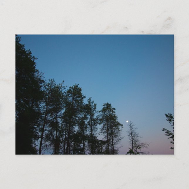 Cartão Postal Evening Sky Over Elk Lake, Michigan (Frente)