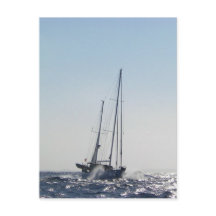 Evento De Cabeça E Sol