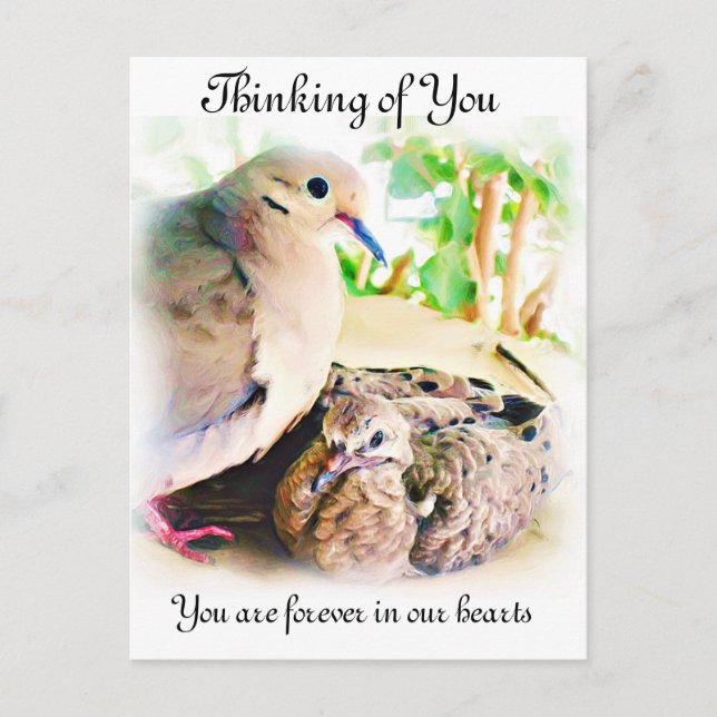 Cartão Postal Eventuais Ocasiões_ (Frente)