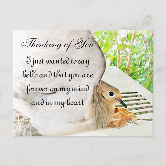 Cartão Postal Eventuais Ocasiões_ (Frente)