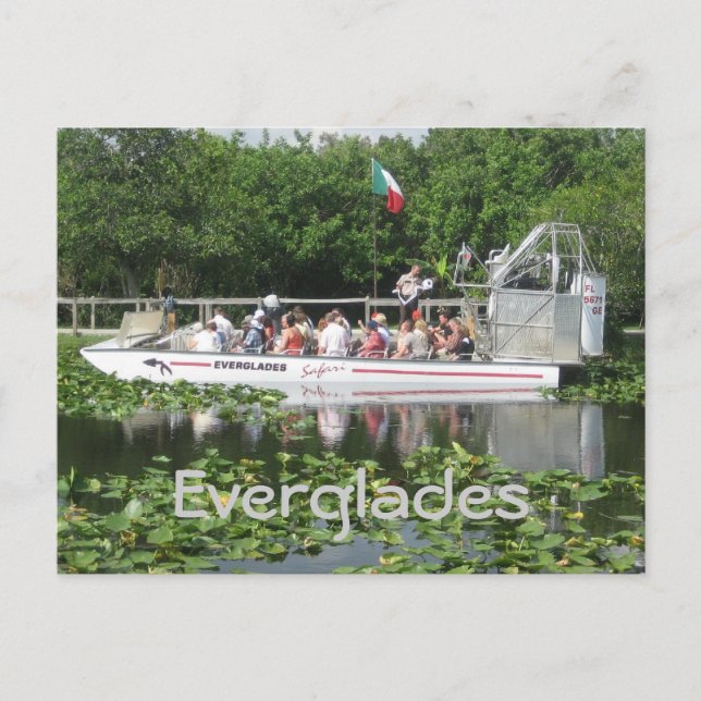Cartão Postal Everglades (Frente)