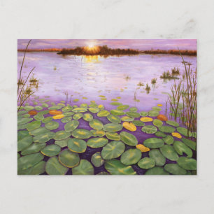 Cartão Postal Everglades Evening