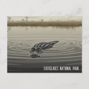Cartão Postal Everglades Flórida Jacaré Viagem