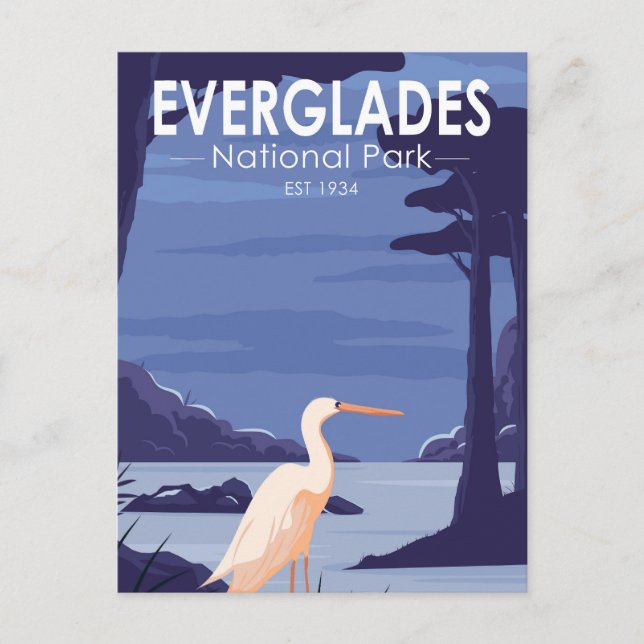 Cartão Postal Everglades National Park Night Egret Vintage (Frente)