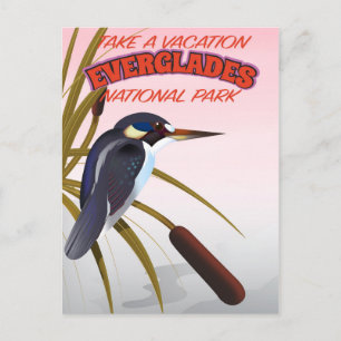 Cartão Postal Everglades viagens vintage.