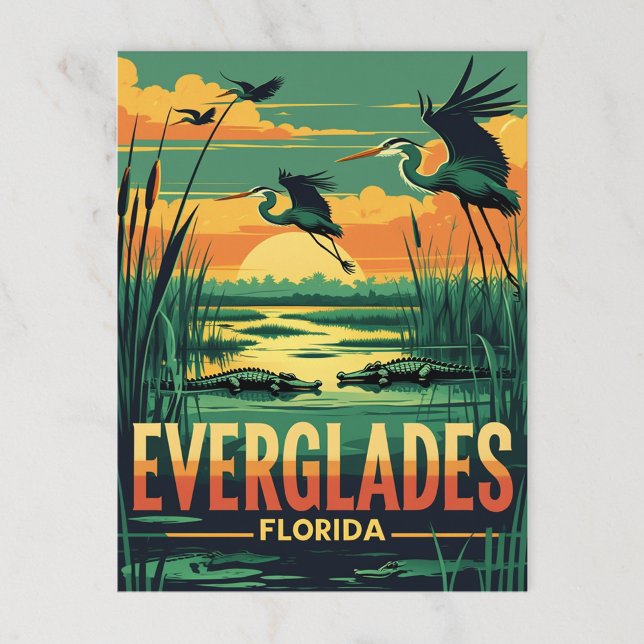 Cartão Postal Everglades Wildlife Sunset (Criador carregado)
