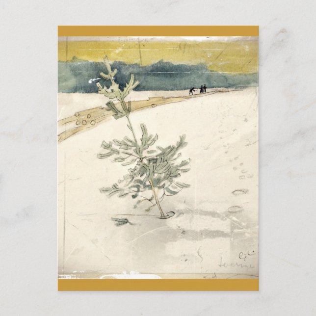 Cartão Postal Evergreen (Frente)