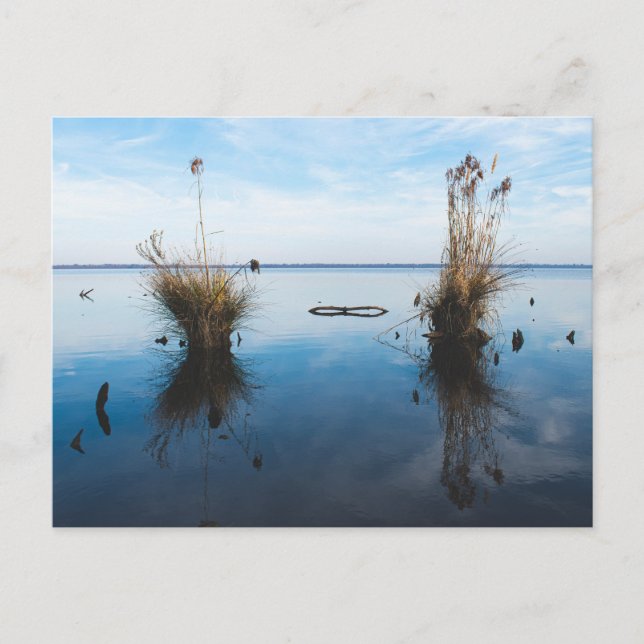 Cartão Postal excelente (Frente)