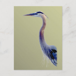 Cartão Postal Excelente azul