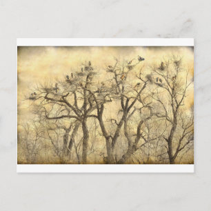 Cartão Postal Excelente Blue Heron Colonies Fine Art