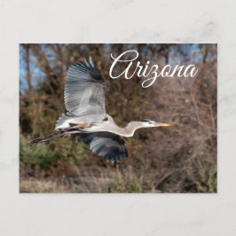 Cartão Postal Excelente Blue Heron em voo, Arizona postal