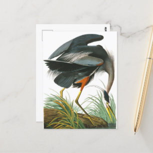 Cartão Postal Excelente Blue Heron por John James Audubon