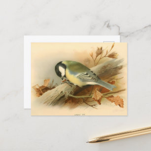 Cartão Postal Excelente de Lord Lilford, Ilustração
