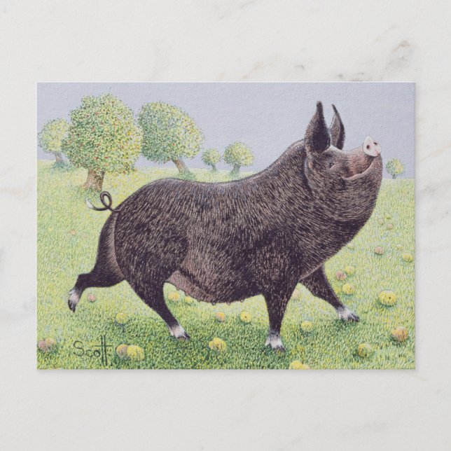 Cartão Postal Excelente do sentimento (Frente)