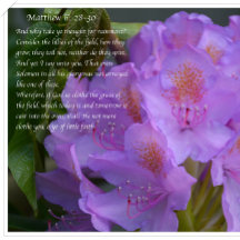 Excelente É Sua Fiabilidade!