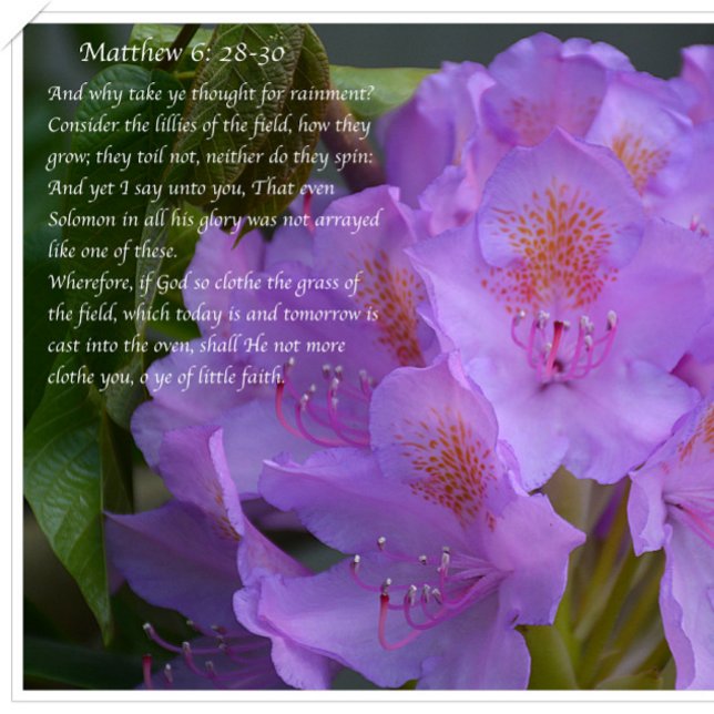 Cartão Postal Excelente É Sua Fiabilidade! (Criador carregado)