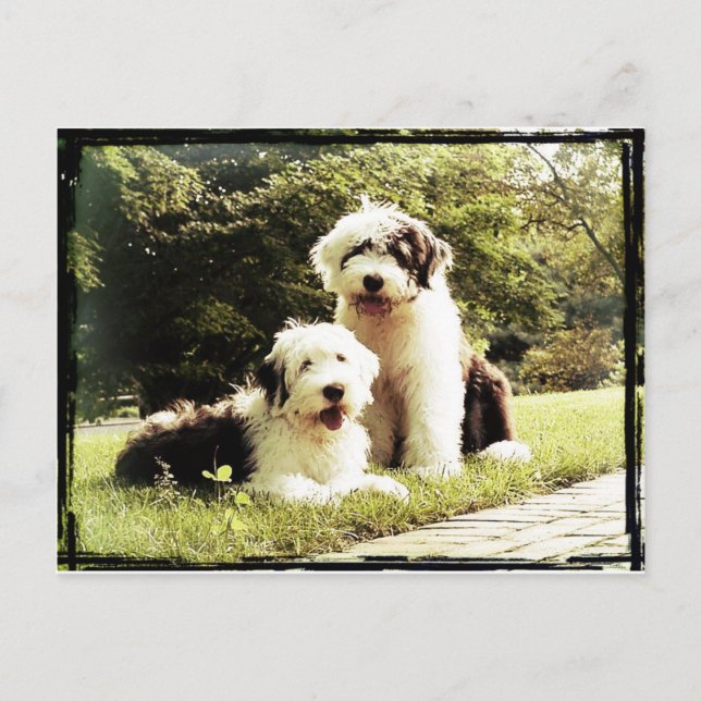 Cartão Postal Excelente fora! (Frente)