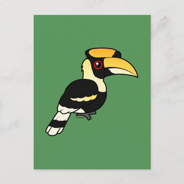 Cartão Postal Excelente Hornbill (Frente)