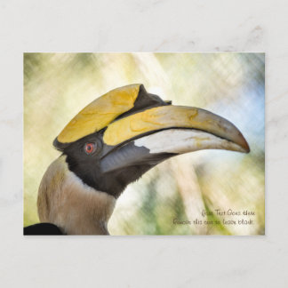 Cartão postal: Excelente Hornbill 4