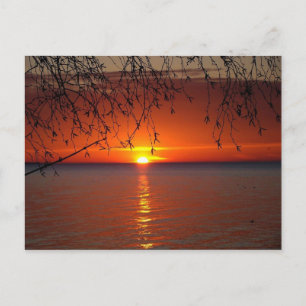 Cartão Postal Excelentes Lagos Sunset por Bobby Mikul
